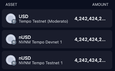 Wallet asset list showing a balance of 4,242,424,2… for USD on Tempo Testnet (Moderato) and for nUSD on NVNM Tempo Devnet 1 and NVNM Tempo Testnet 1